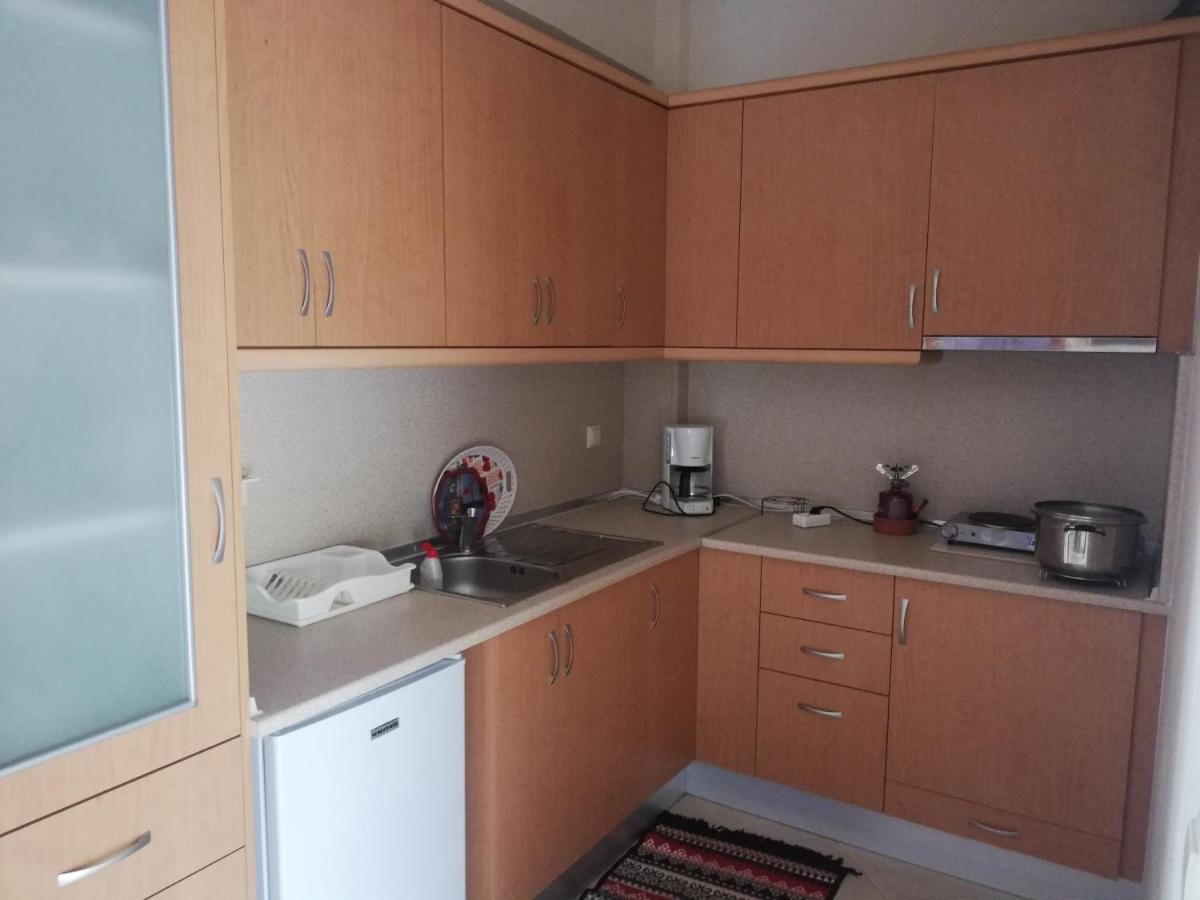 Ferienwohnung Σπιτι Στουσ Προποδεσ Του Ολυμπου Leptokaryá Exterior foto